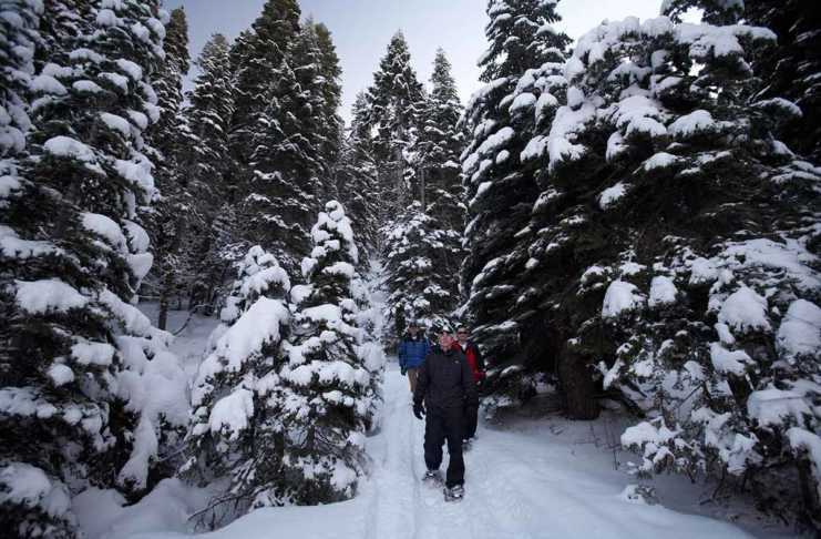 40 Lake Tahoe Experiences You’ll Be Talking About For Years lake tahoe