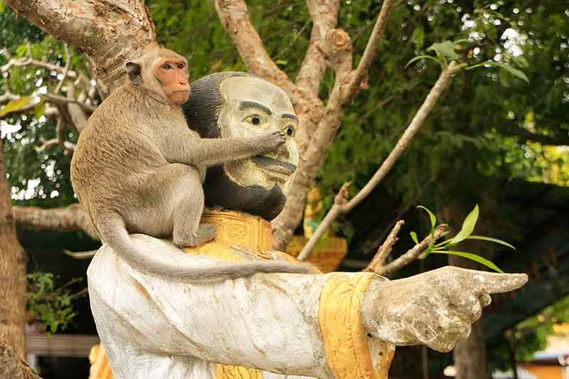 landmarks cambodia long-tailed macaque with its arm on the head of a statue