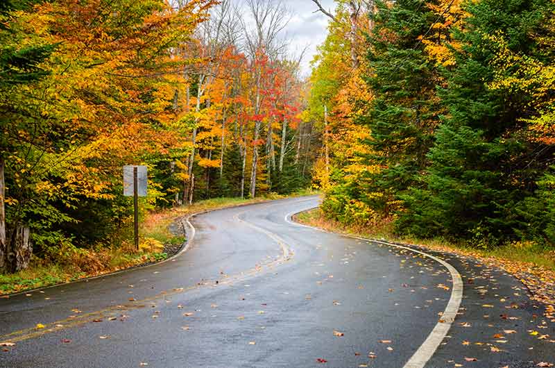 fall leaves in the Adirondacks