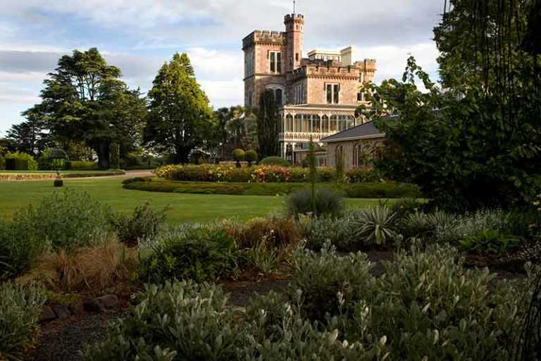 Things to do in Dunedin New Zealand 15 Stunning Attractions