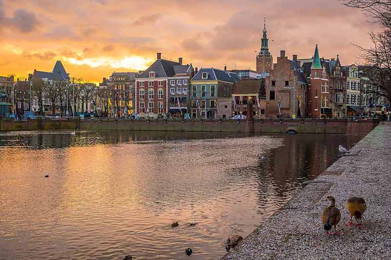 The Hague cityscape downtown skyline