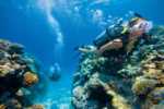 28 Queensland’s Islands – The Ultimate Guide lizard island