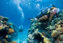 28 Queensland’s Islands – The Ultimate Guide lizard island