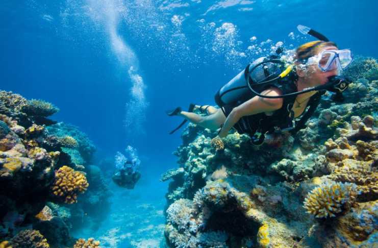 28 Queensland’s Islands – The Ultimate Guide lizard island