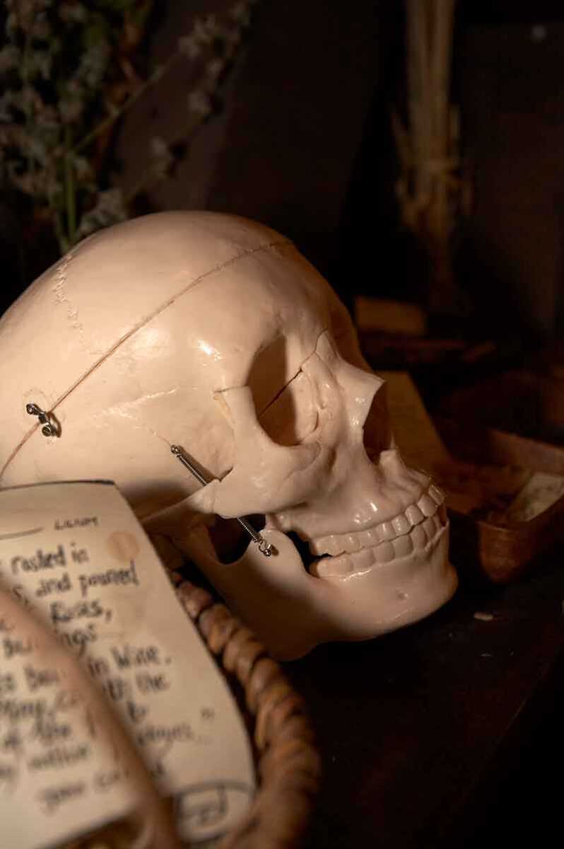 skull and old book