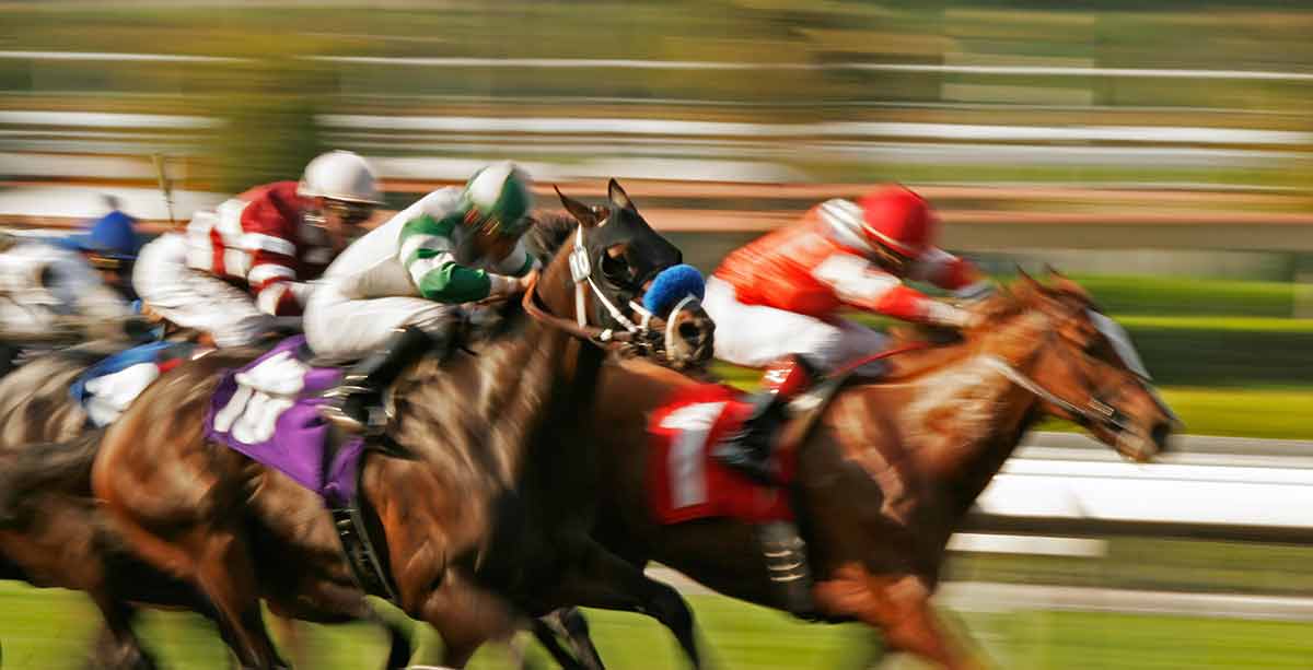 macau horse racing