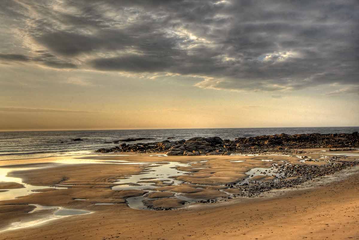 maine beaches that allow dogs Sunrise at low tide at Biddeford Pool