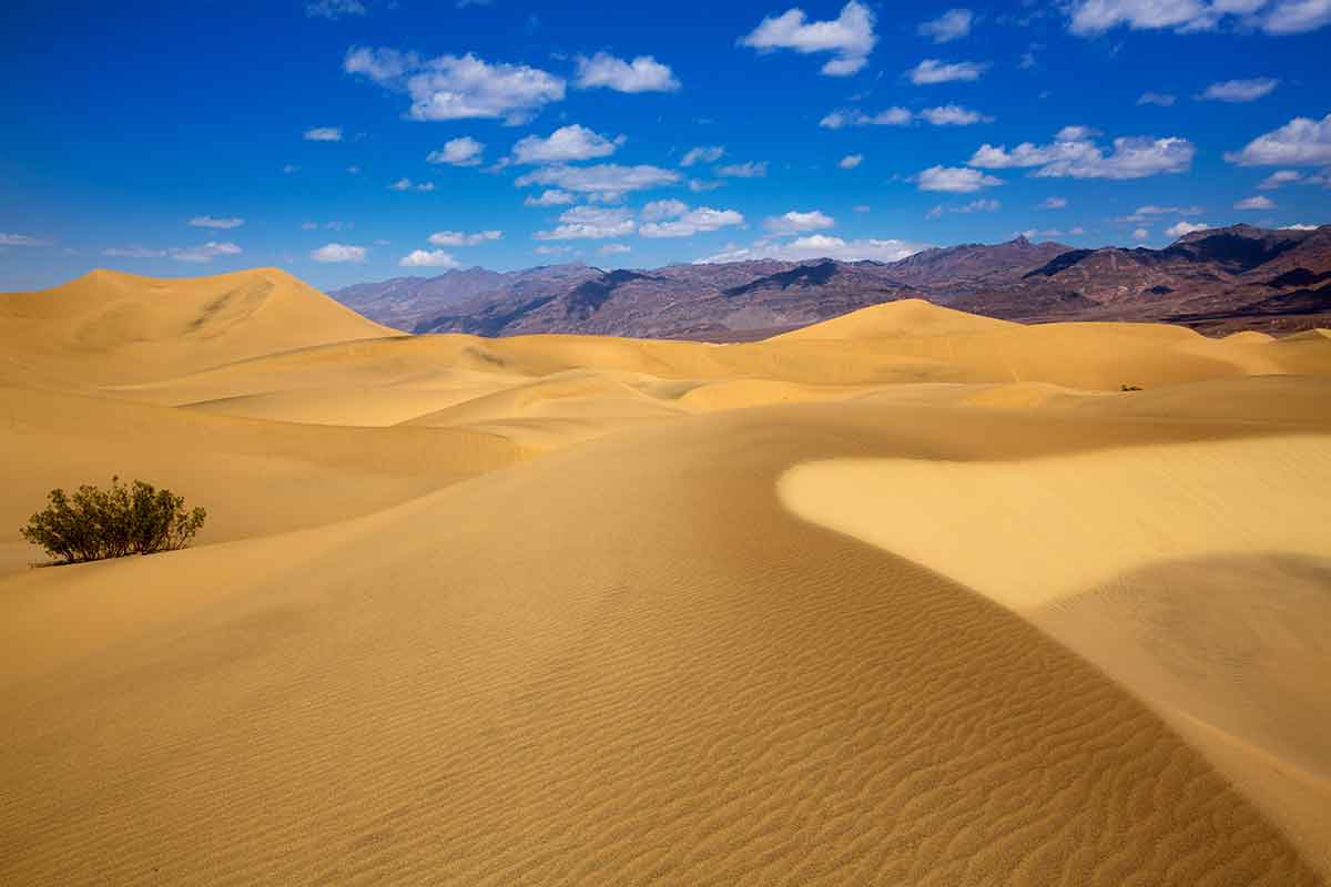 major deserts in california Mesquite Dunes