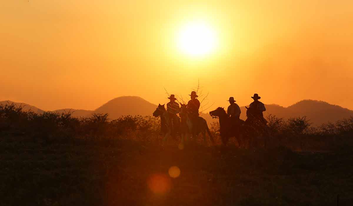 silhouette of horse riders in cowboy outfit
