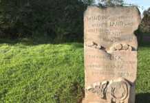 12 Things To Do In Maleny This Weekend maleny trail