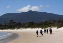 Maria Island Walk: Tasmania’s Most Beautiful Multi-Day Hike Walking on the beach on Maria Island
