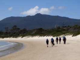 Walking on the beach on Maria Island