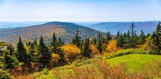 massachusetts national parks mount greylock in autumn