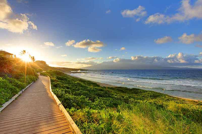 maui hawaii beaches walkway along the beach flanked by greenary and ocean