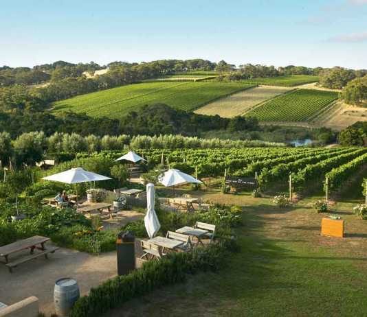 melbourne day trips