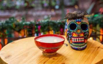 mexican drinks pulque