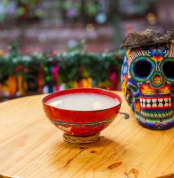 mexican drinks pulque