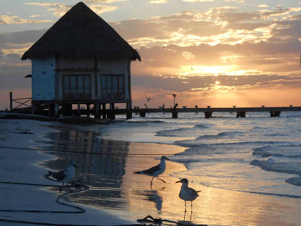 mexico best time to visit Isla Holbox