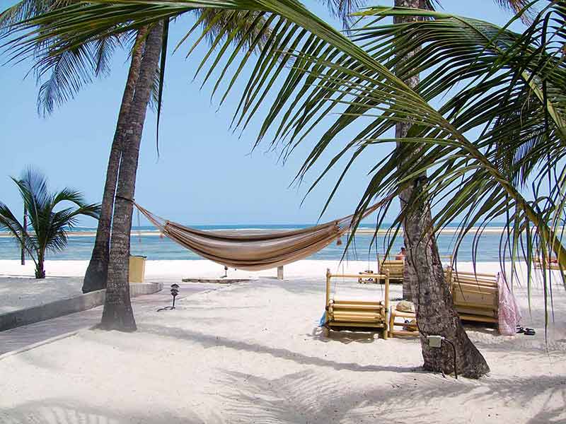 mombasa kenya beaches hammock slung between two palm trees on the beach