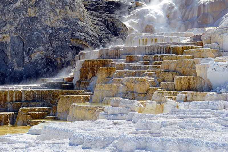 montana national parks mammoth hot springs