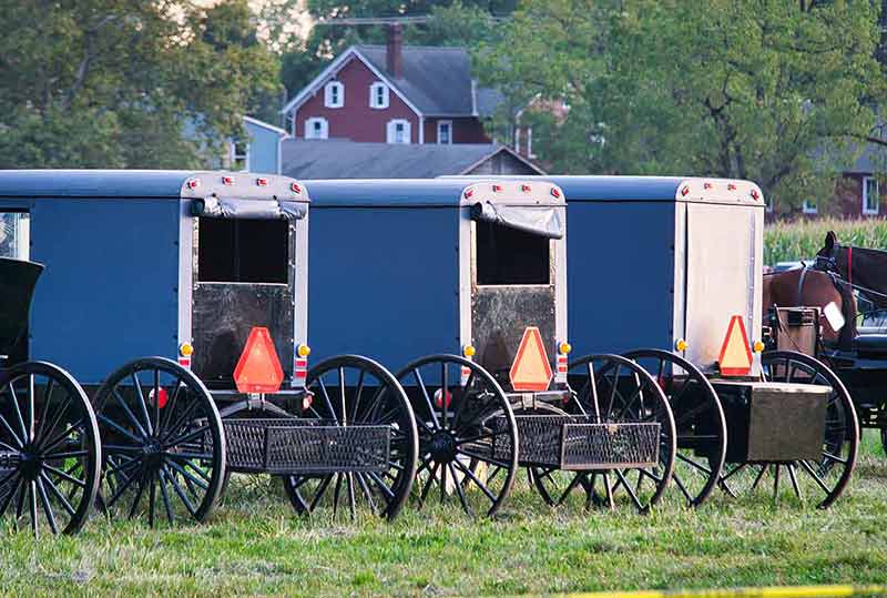 Row Of Amish Carriages And Buggies At A Lancaster PA Event