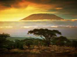 mountain kilimanjaro