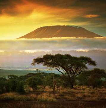 mountain kilimanjaro