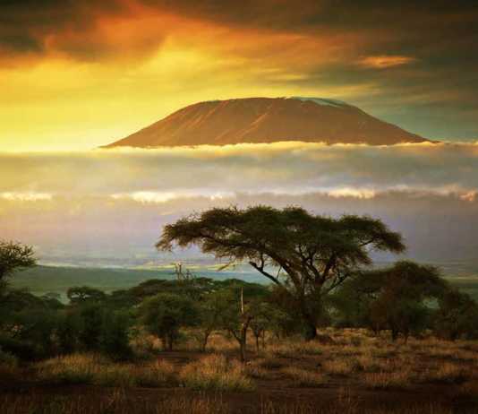 mountain kilimanjaro