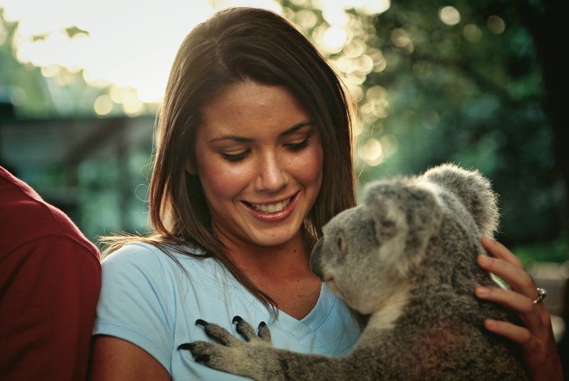 Cuddling a koala is one of the things to do in queensland