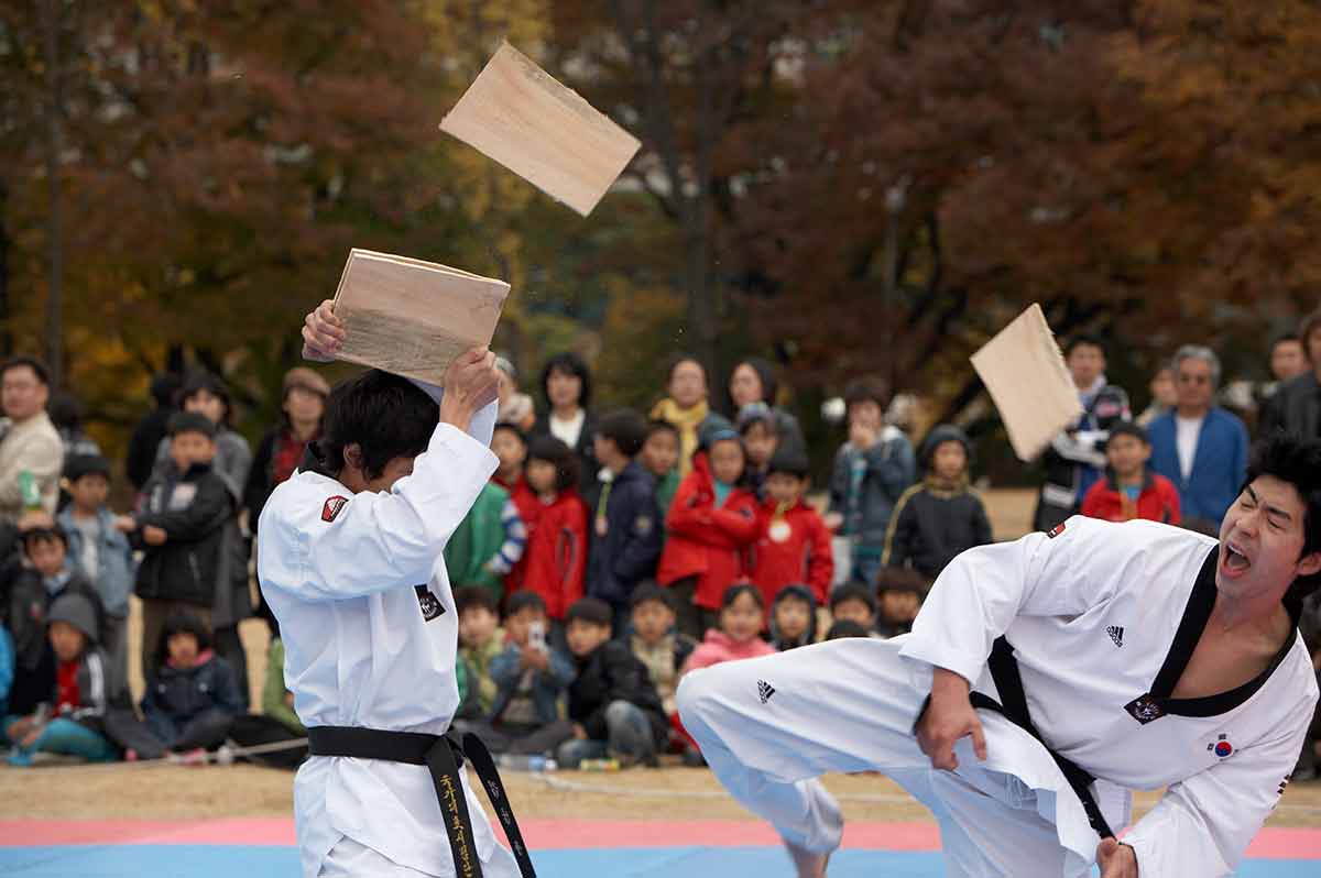 an impressive taekwondo demonstration in seoul