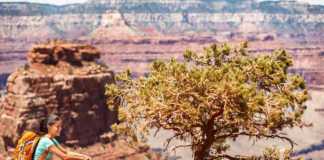 national parks in utah and arizona Girl hiker hiking on landscape trail in Grand Canyon National Park,