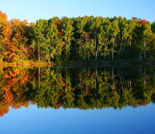 national parks in wisconsin Kettle Moraine State Forest autumn