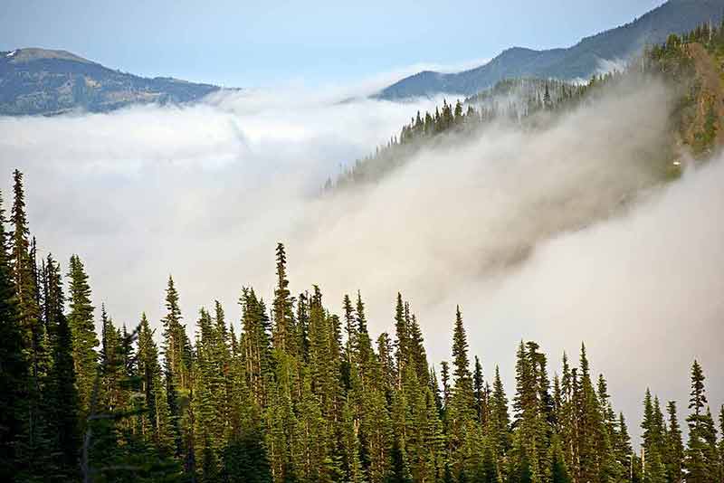 national parks washington state map mist over the pine trees on the mountains