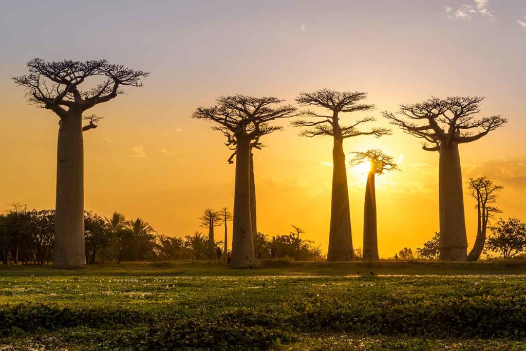 natural landmarks in africa