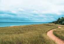 20 Best Things To Do In New Buffalo Michigan new buffalo beach