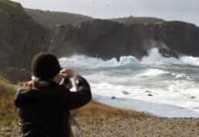 Chasing Icebergs in Newfoundland: The World’s Coolest Natural Show Iceberg Alley