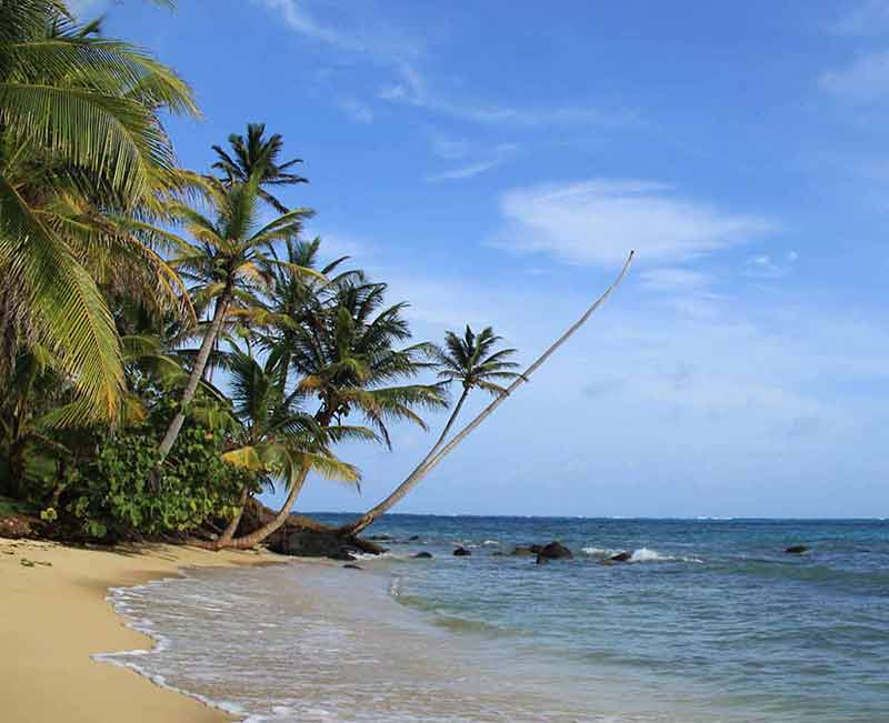 nicaragua beaches coconut trees