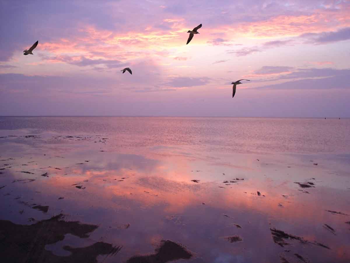 nice beaches in texas a mauve sunset over the bay