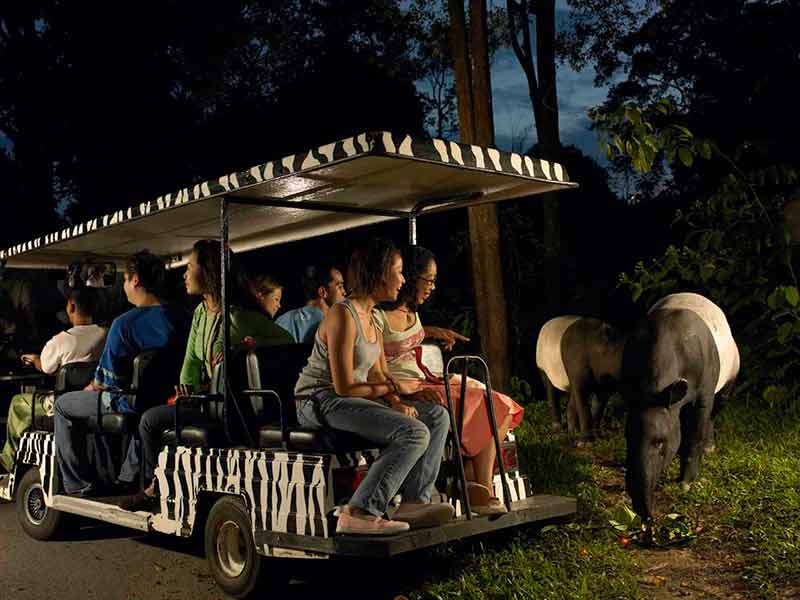 night safari in singapore family sitting in a safari vehicle looking at animals