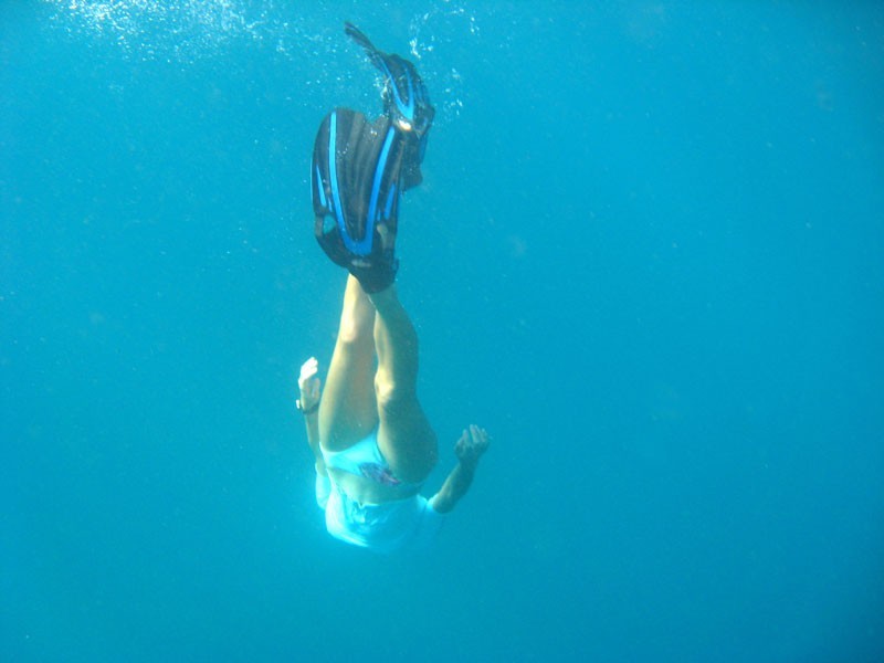 A snorkeler in search of Ningaloo reef whale sharks.