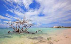 20 Aruba Beaches For Your 2026 Bucket List