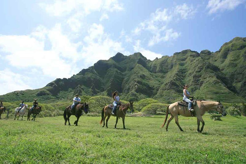 horse riding in oahu hawai