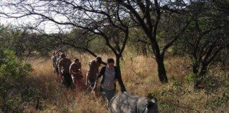 only in africa 9