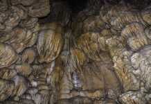 The Coolest Caves in Oregon You Can Actually Explore oregon caves