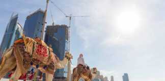 Tour guide offering tourist camel ride on Jumeirah beach on in Dubai