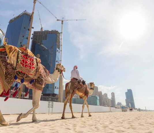 Tour guide offering tourist camel ride on Jumeirah beach on in Dubai