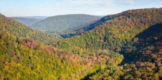fall colours at Worlds End State Park