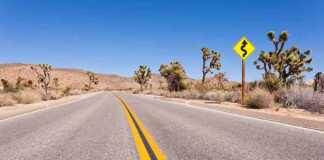 Winding road in Mojave Desert with distinct yellow road line and cactii on the side of the road
