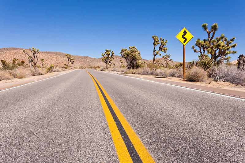 Winding road in Mojave Desert with distinct yellow road line and cactii on the side of the road