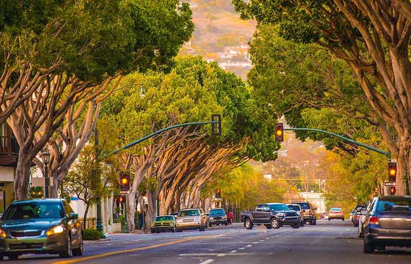 leafy street in Santa Barbara